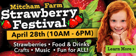 Strawberry Festival at Mitcham Farm - April 30, 2016