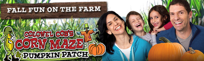 Fall Season at Mitcham Farm Corn Maze & Pumpkin Patch - Oxford, Georgia
