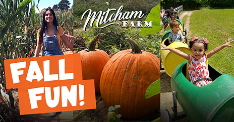 Fall Fun - Corn MAze, Pumpkin Patch, & Fun Zone - Oxford, Georgia