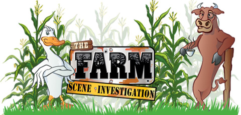 Corn Maze The Farm Scene Investigation
