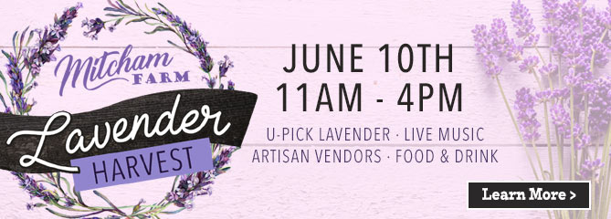 Lavender Harvest Event - June 18, 2022 - Oxford, Georgia